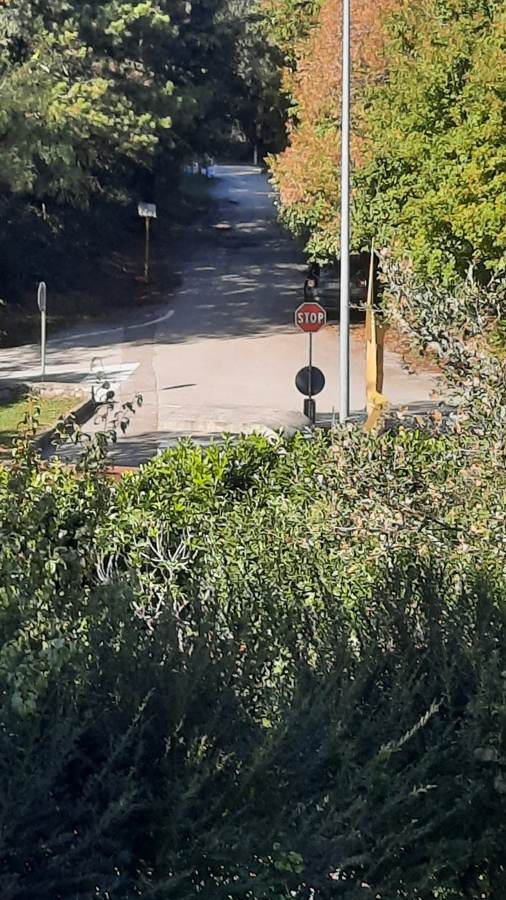 Rastlinje zmanjšuje vidljivost na priključku / La vegetazione limita la visibilità all'innesto